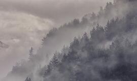 Antradienio horoskopas 12-ai zodiako ženklų