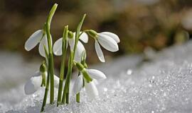 Į Lietuvą atkeliauja šiemet dar neregėta šiluma: dalį šalies lepins net 11 laipsnių