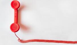 Informacijos paslauga 118 skaičiuoja paskutines dienas