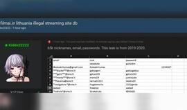 Internete plinta žinia apie nutekintus "Filmai.in" svetainės vartotojų slaptažodžius