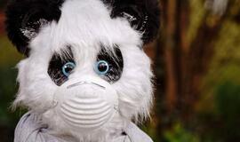 Ištyrus 4949 ėminius, 356 nauji koronaviruso atvejai ir 9 mirtys