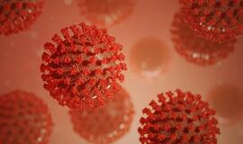 Ištyrus 7494 ėminius, 538 nauji koronaviruso atvejai ir 6 mirtys