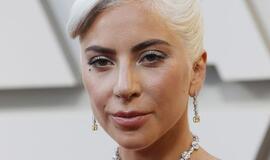 JAV dainininkė Lady Gaga už pavogtų savo šunų sugrąžinimą siūlo 500 tūkst. dolerių atlygį