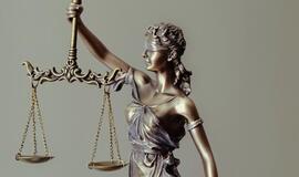 Kai skolininkas tampa lyg rakštis