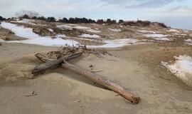 Klaipėdoje – mokymai žurnalistams apie religijų ir įsitikinimų laisvę