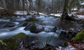 Penktadienio horoskopas 12-ai zodiako ženklų