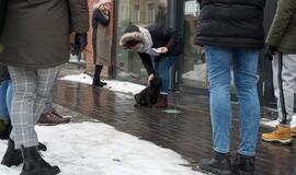 Protestuojančios kavinės