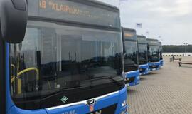 Klaipėdos autobusų parkas