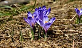 Trečiadienio horoskopas 12-ai zodiako ženklų