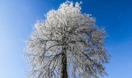 Trečiadienio horoskopas 12-ai zodiako ženklų