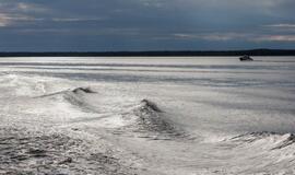 A. Gedvilienė: bus siūloma, kad verslinė žvejyba iš Kuršių marių pasitrauktų iki 2024 metų pabaigos