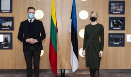 G. Landsbergis: Lietuva pasiruošusi padėti Estijai