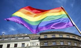 Karas dėl Stambulo konvencijos: kas iš tikrųjų už to stovi