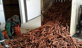 Kooperatyvai turi didesnes galimybes gauti paramą ir tuo aktyviai naudojasi