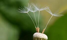 Penktadienio horoskopas 12-ai zodiako ženklų