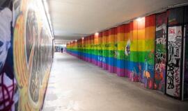 Perėjoje vaivorykštę perdažė trispalvės spalvomis