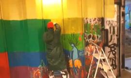 Perėjoje vaivorykštę perdažė trispalvės spalvomis