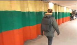 Perėjoje vaivorykštę perdažė trispalvės spalvomis