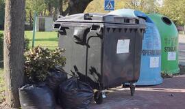 Šakos ir pernykščiai lapai – ne problema, sužinokite, kur juos dėti