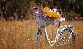 Sekmadienio horoskopas 12-ai zodiako ženklų