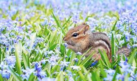 Sekmadienio horoskopas 12-ai zodiako ženklų