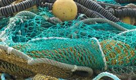 Verslinė žvejyba - draudimai Kuršių marių neatgaivins, reikia susitarimo