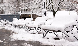 Suoliukai Klaipėdoje