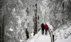 Žiema-Vokietijoje