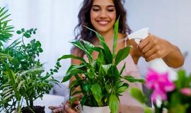 Šis triukas atgaivins jūsų augalus