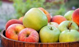 Obuolių nauda ir žala: kiek jų galima suvalgyti per dieną