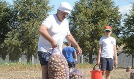 Baltarusija irgi skelbia "mobilizaciją" derliaus nuėmimui