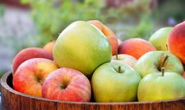 Užšaldyti arba konservuoti obuolius