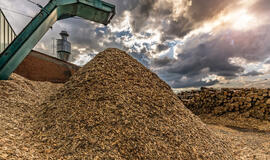 Gera žinia prieš šildymo sezono pradžią: biokuro kainų kreivė pasuko žemyn