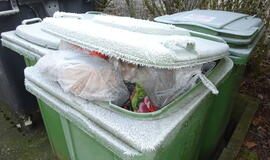 Ar į maišelius, ar į konteinerius: savivaldybėse įsibėgėja maisto atliekų rūšiavimas