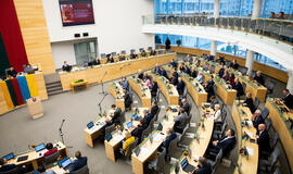 Į Seimo salę grįžta valstybės tarnybos reforma