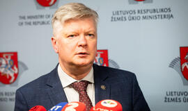 Opozicija Seimo pirmininkei žada įteikti interpeliaciją Navickui