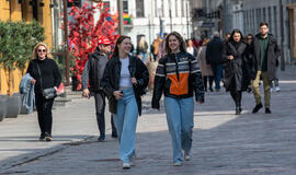 pavasaris Lietuvoje įsitvirtina