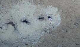 Pavyko įminti paslaptingų skylių jūros dugne paslaptį