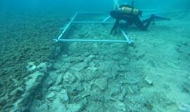 Viduržemio jūros dugne rastas priešistorinis kelias