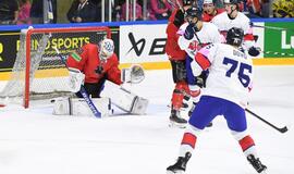 Lietuvos ledo ritulininkai