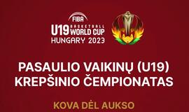 Pasaulio vaikinų (U-19) krepšinio čempionato finalas