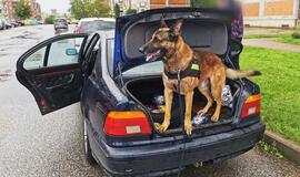 Narkotikus rado tarnybinis šuo