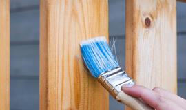 Kaip tinkamai dažyti medieną?