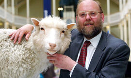 Būdamas 79-erių mirė mokslininkas, vadovavęs komandai, sukūrusiai klonuotą avį Doli