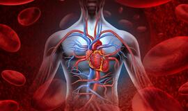 kraujotakos sistemos ligos