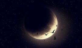Naujasis Mėnulis Mergelėje atneš didelę laimę trims Zodiako ženklams: puoselėtos svajonės gali išsipildyti