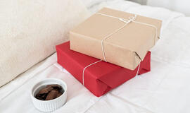 planuoti biudžeta, šventės