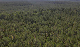 Jei turite registruoto miško, žemės mokestis Jums gali būti perskaičiuotas