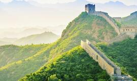 Kinų siena