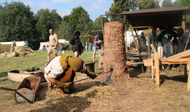 Geležies gimimas molinėse įsčiose